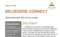 Belvedere Connect 2020-08-12